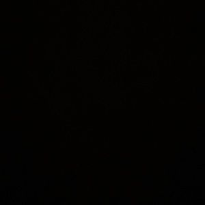 Meet your Posher, Corey